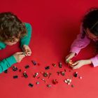 LEGO Minifigures, Dungeons & Dragons, 1 buc., 71047