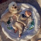 Kinderkraft, Cozyplay, covoras educational