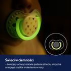 Lovi, Teddy Love, suzeta din silicon, dinamica, 0-6 luni, 2 buc.