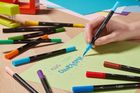 Bic, Intensity Dual Tip, marker dublu cu etui, 12 buc.