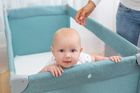 Caretero, Basic Plus, patut de volaj, bej