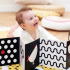 Banana Panda, High Contrast Baby Pack pentru bebelusi de la 0 luni+/3 luni+/6 luni+, set de 2 carti cu contrast, 7 carduri cu imagini cu doua fete si un ghid pentru parinti