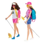 Barbie, Bivuac, set cu 2 papusi si accesorii