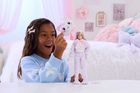 Barbie x Care Bears, Cutie Reveal, papusa pisicuta