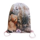Beniamin, The Sweet Pets, pisica, rucsac cu snur