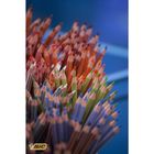 Bic, Tropicolors 2, creioane colorate, 18 culori