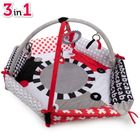 Canpol babies, Sensory Toys, saltea de joaca senzoriala