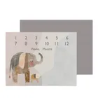 Ceba Baby, Basic, Elephant Family, covoras foto, 92-72 cm
