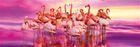 Clementoni, Panorama, Flamingo dance, puzzle, 1000 piese