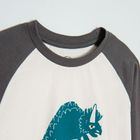 Cool Club, Bluza cu maneca lunga pentru baieti, ecru