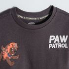Cool Club, Bluza cu maneca lunga pentru baieti, gri, imprimeu Paw Patrol