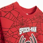 Cool Club, Bluza cu maneca lunga pentru baieti, mix, imprimeu Spider-Man