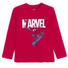 Cool Club, Bluza cu maneca lunga pentru baieti, mix, imprimeu Spider-Man, set, 2 buc.