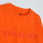 Cool Club, Bluza cu maneca lunga pentru baieti, portocaliu, imprimeu Dive into the unknown