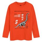 Cool Club, Bluza cu maneca lunga pentru baieti, rosu