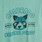 Cool Club, Bluza cu maneca lunga pentru baieti, turcoaz, imprimeu Colorado