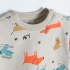 Cool Club, Bluza pentru baieti, gri