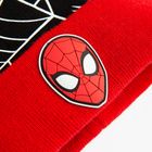 Cool Club, Caciula cu pompon pentru baieti, rosu, imprimeu Spider-Man