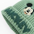Cool Club, Caciula pentru baieti, verde, imprimeu Mickey Mouse