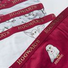 Cool Club, Chilotei pentru fete, mix de culori, imprimeu Harry Potter, set 5 buc.