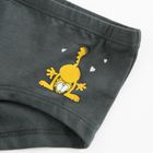 Cool Club, Chilotei pentru fete, mix, imprimeu Garfield, set, 3 buc.