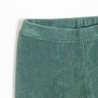 Cool Club, Colanti pentru fete, velur, din tricot striat, verde