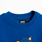 Cool Club, Hanorac pentru baieti, bleumarin, imprimeu Sonic the Hedgehog