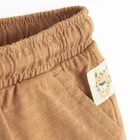 Cool Club, Pantaloni scurti pentru baieti, maro