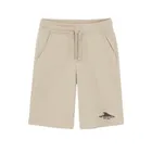 Cool Club, Pantaloni scurti pentru baieti, mix, set, 2 buc.
