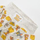 Cool Club, Pantaloni scurti pentru bebelusi, bumbac organic, gri, Tom & Jerry