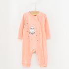 Cool Club, Pijama tip salopeta pentru fete, bumbac organic, mix de culori, imprimeu Harry Potter, set 3 buc.