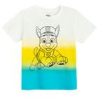 Cool Club, Set pentru baieti, Tricou, Pantaloni scurti, mix, imprimeu Paw Patrol