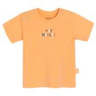 Cool Club, Set pentru baieti, Tricou, Pantaloni scurti, portocaliu-gri