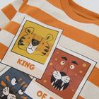 Cool Club, Tricou baieti cu maneca lunga, mix culori