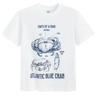 Cool Club, Tricou pentru baieti, alb, set, 2 buc.