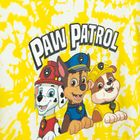 Cool Club, Tricou pentru baieti, galben, imprimeu Paw Patrol