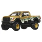 Hot Wheels, Premium, Car Culture, 2017 Ford F-150 Raptor, masina, scara 1:64, JBK70
