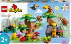 LEGO DUPLO, Animale salbatice din America de Sud, 10973