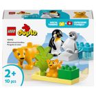 LEGO DUPLO, Familii de animale salbatice: Pinguini si lei, 10442