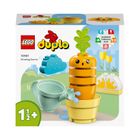 LEGO DUPLO, Primul meu morcov care creste, 10981