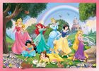 Lisciani, Disney Princess, puzzle maxi cu doua fete, 108 piese