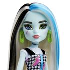 Monster High, papusa Frankie Stein