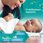 Pampers Fresh Clean, servetele umede pentru bebelusi, 12 pachete, 624 buc.