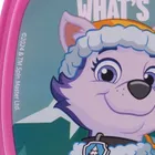 Paw Patrol, cutie pentru pranz Funny