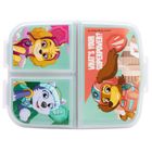 Paw Patrol, Superpowers, cutie pentru pranz cu compartimente