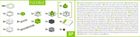Ravensburger, GraviTrax, GO Flexible, set de start