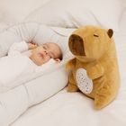 Smiki, Little Dreamer, Capibara, proiector de stele din plus