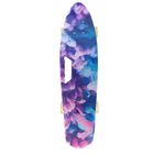 Smiki, Nori, placa skateboard de tip fish cu roti LED