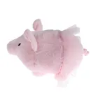 Smiki, Porcusor, pusculita, plus