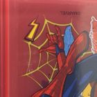 Spider-Man, cutie pentru pranz XL cu compartimente